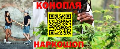 мдпв Нальчик